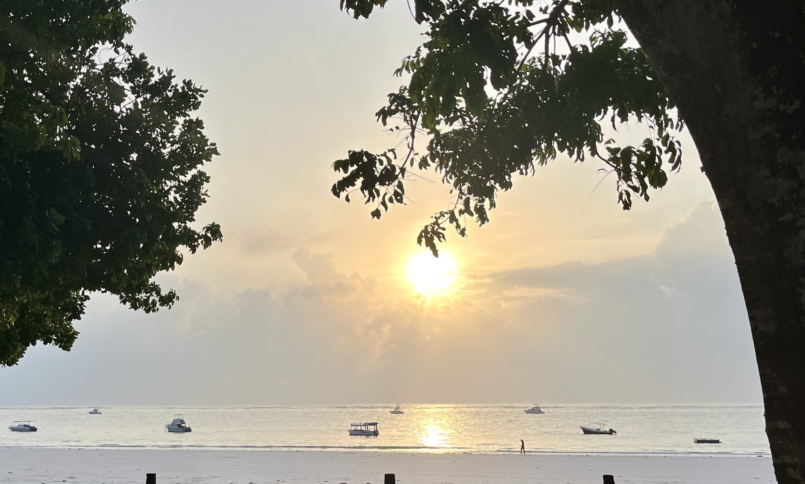 Diani Beach Coast