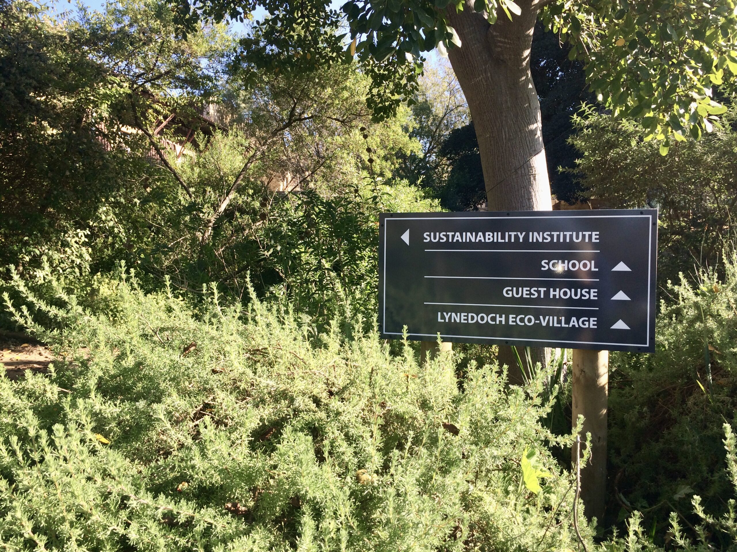 The Sustainability Institute